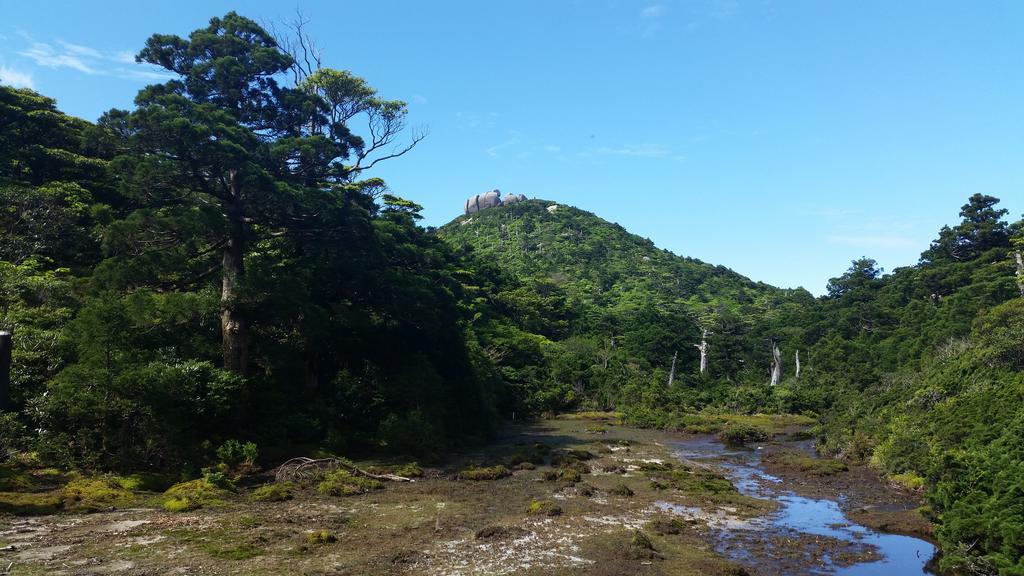 Minnsyuku Yakushimaya Yakushima  Esterno foto