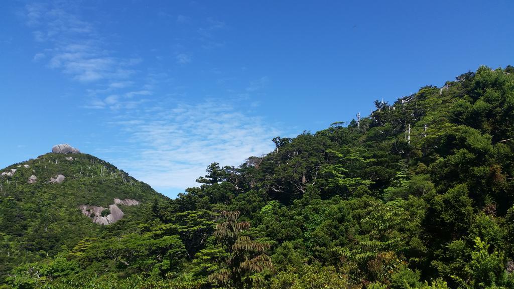 Minnsyuku Yakushimaya Yakushima  Esterno foto